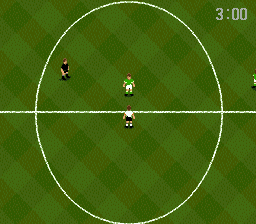 World Cup USA '94 (USA) In game screenshot